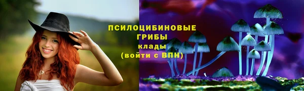 твердый Тобольск