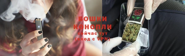 прущие грибы Каменск-Шахтинский