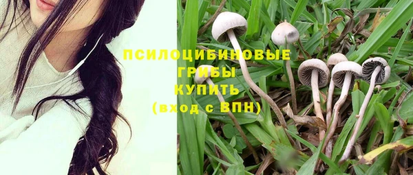 COCAINE Каменка
