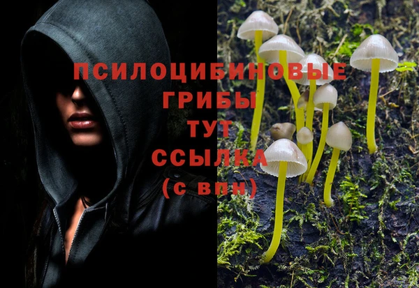амфетамин Каменногорск
