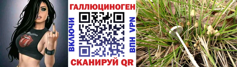 Галлюциногенные грибы мухоморы  Углич 