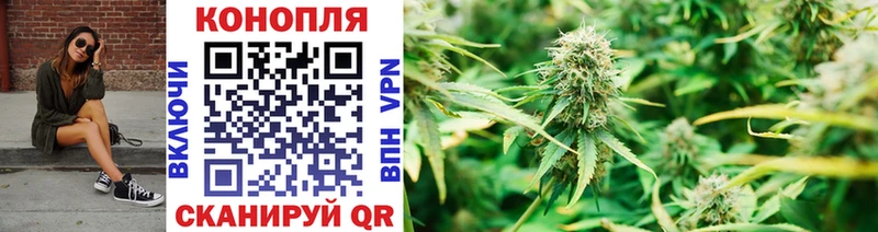 Бошки марихуана Ganja Углич